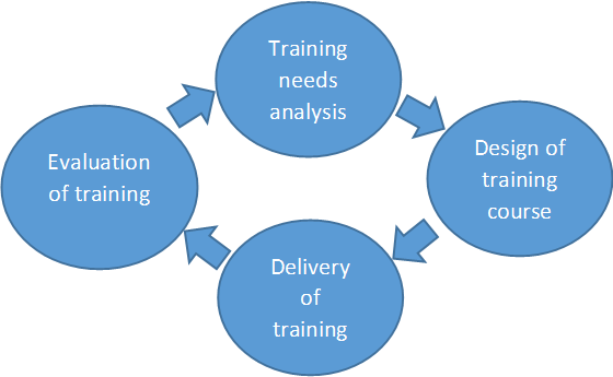 Training development cycle